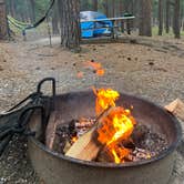 Review photo of Center Lake Campground — Custer State Park by Allison F., May 3, 2026