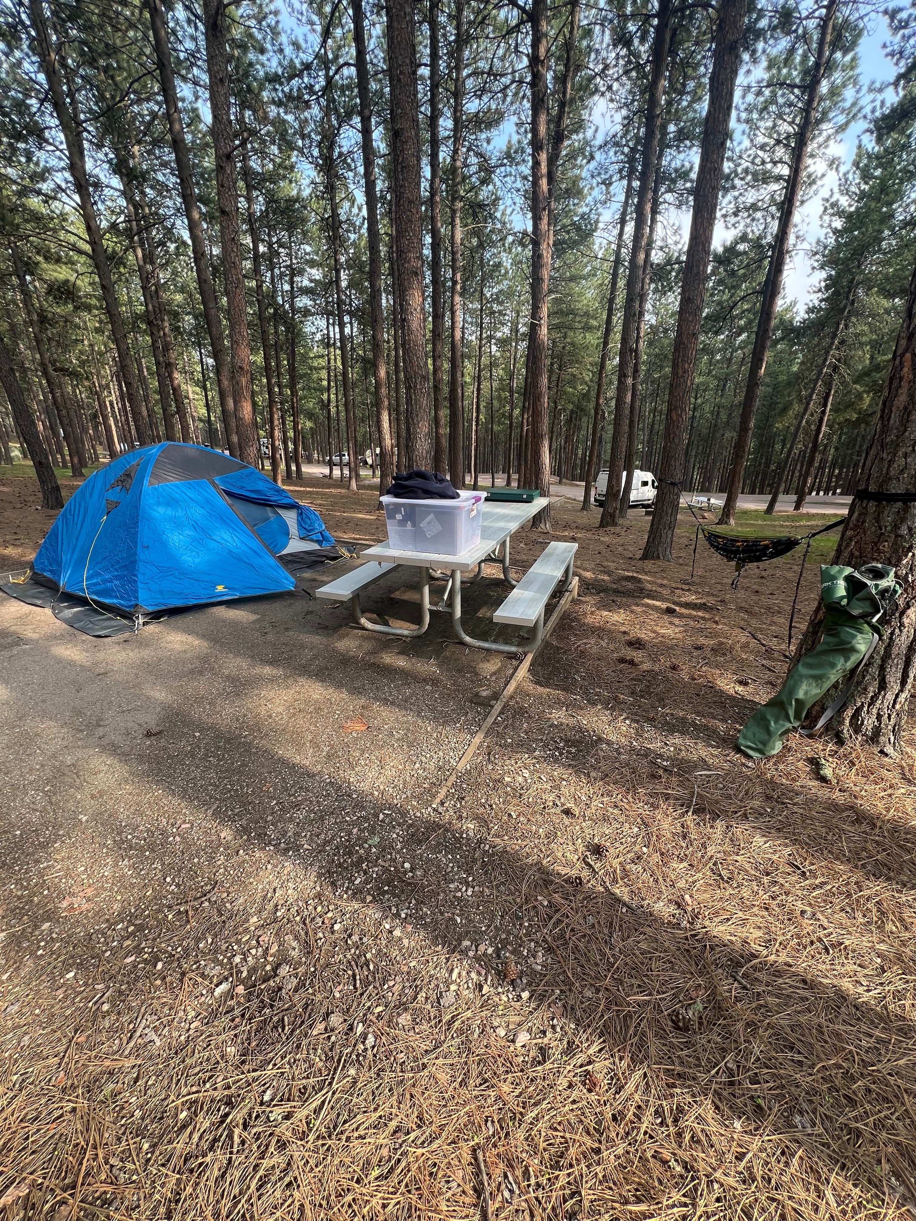 Allison F.'s photo at Center Lake Campground — Custer State Park near Fairburn, SD