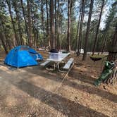 Review photo of Center Lake Campground — Custer State Park by Allison F., May 3, 2026