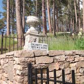 Review photo of Elk Mountain Campground — Wind Cave National Park by Greebly M., June 21, 2025