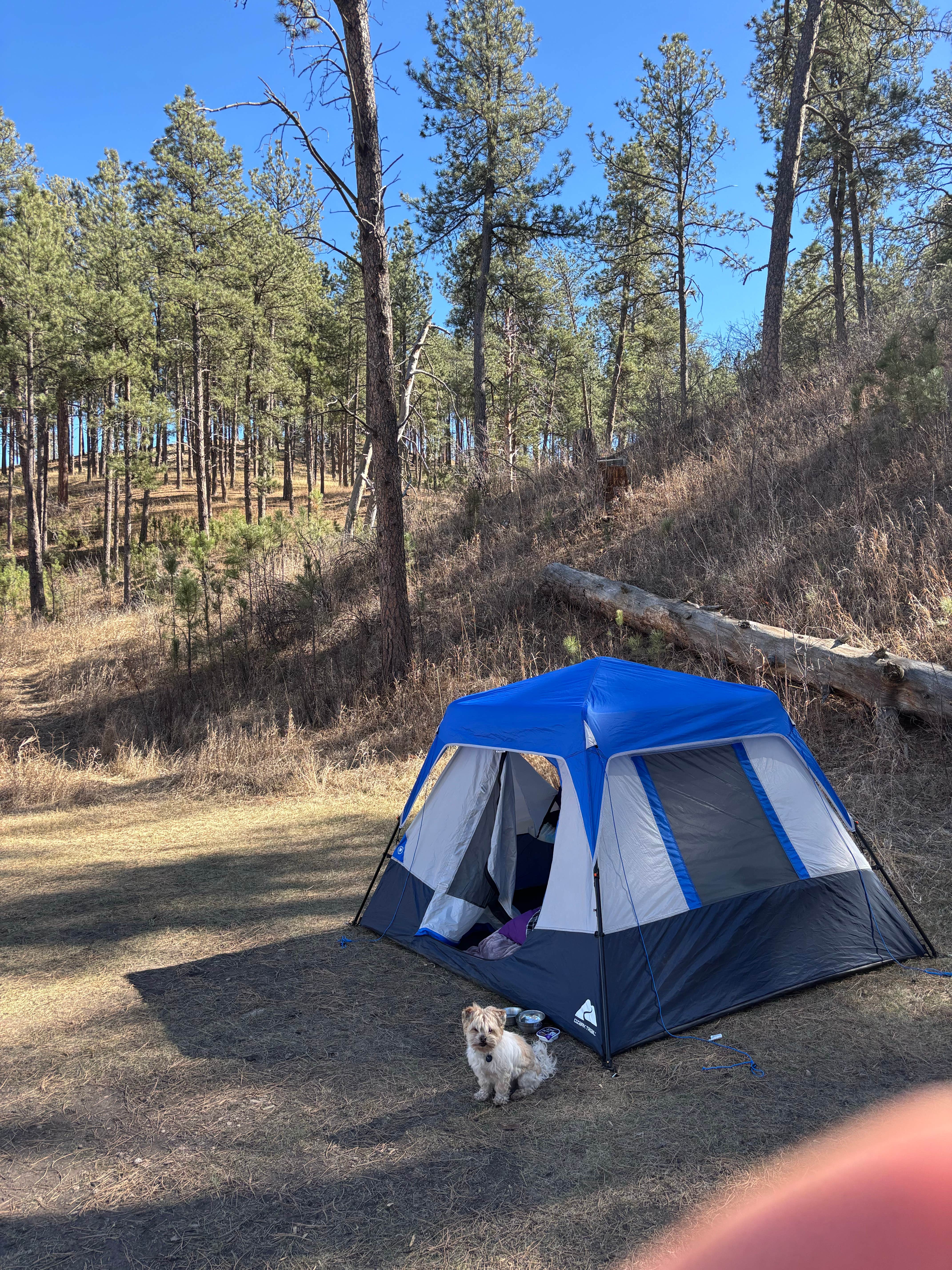 Bruce K.'s photo at Elk Mountain Campground — Wind Cave National Park near Hot Springs, SD