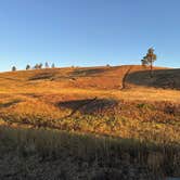Review photo of Elk Mountain Campground — Wind Cave National Park by tom S., September 8, 2026