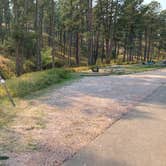 Review photo of Elk Mountain Campground — Wind Cave National Park by Roger W., October 9, 2024