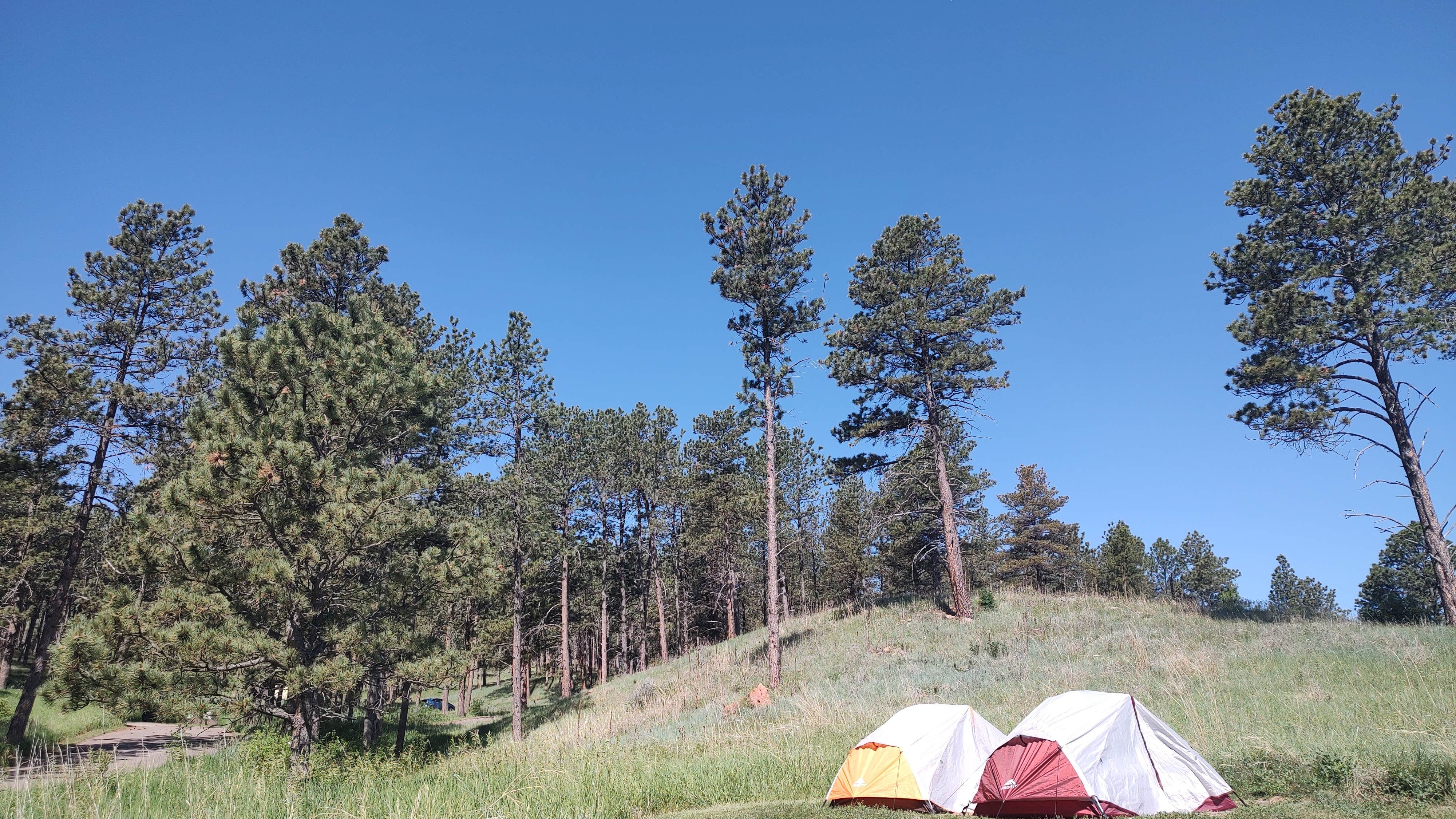 Greebly M.'s photo at Elk Mountain Campground — Wind Cave National Park near Buffalo Gap, SD