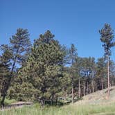 Review photo of Elk Mountain Campground — Wind Cave National Park by Greebly M., June 21, 2025