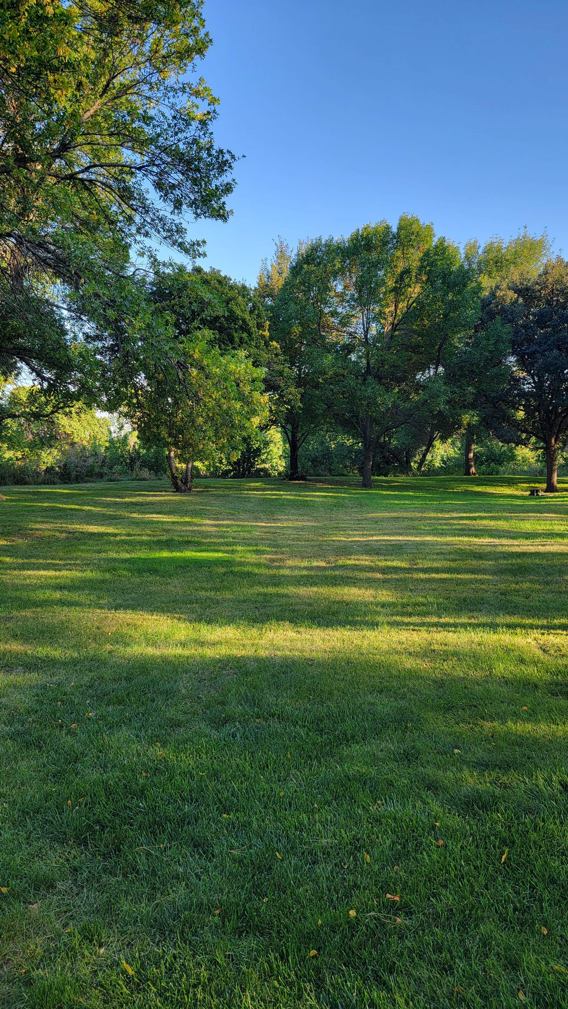 Camper submitted image from Fisher Grove State Park Campground - 1