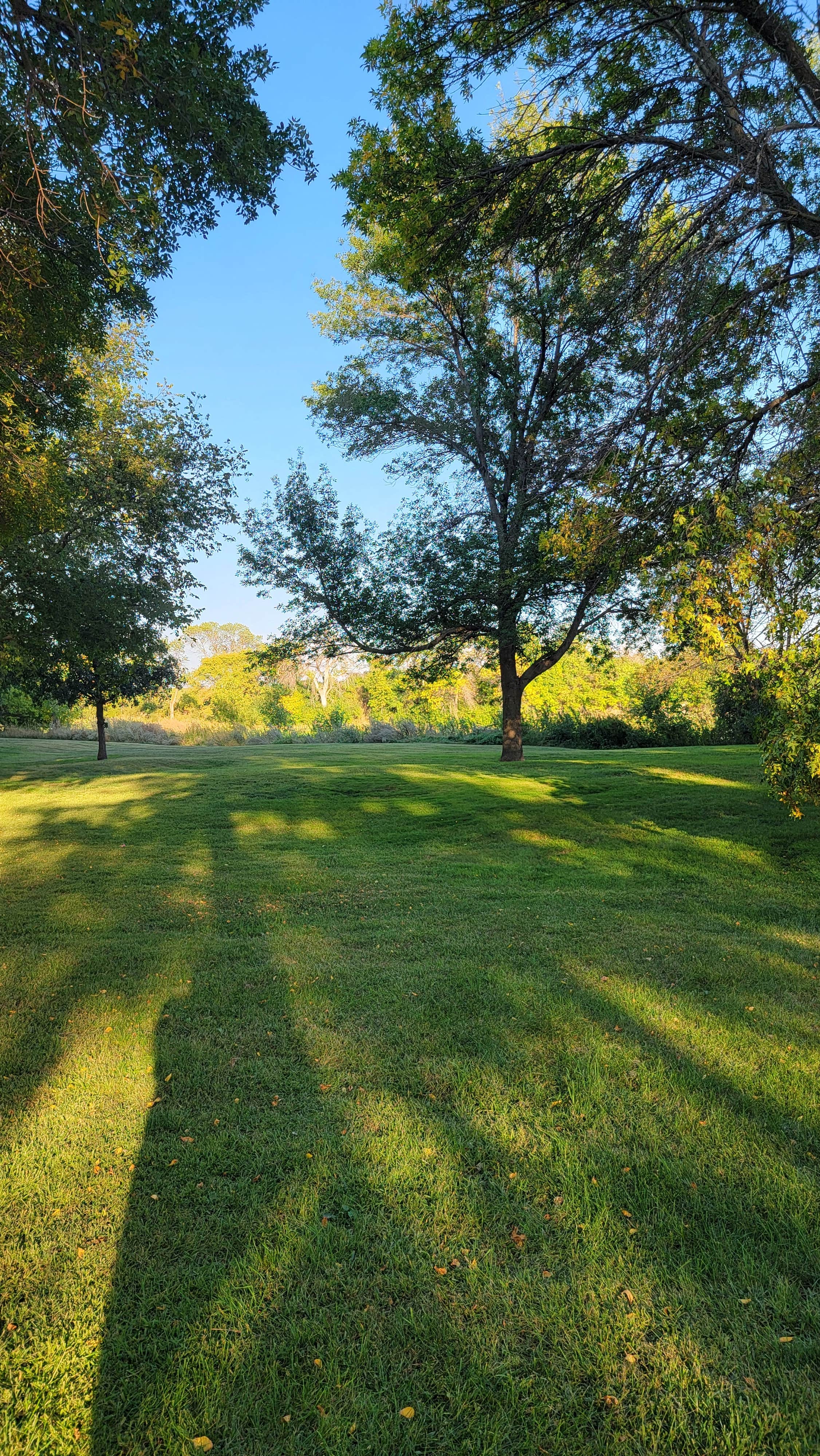 Camper submitted image from Fisher Grove State Park Campground - 2