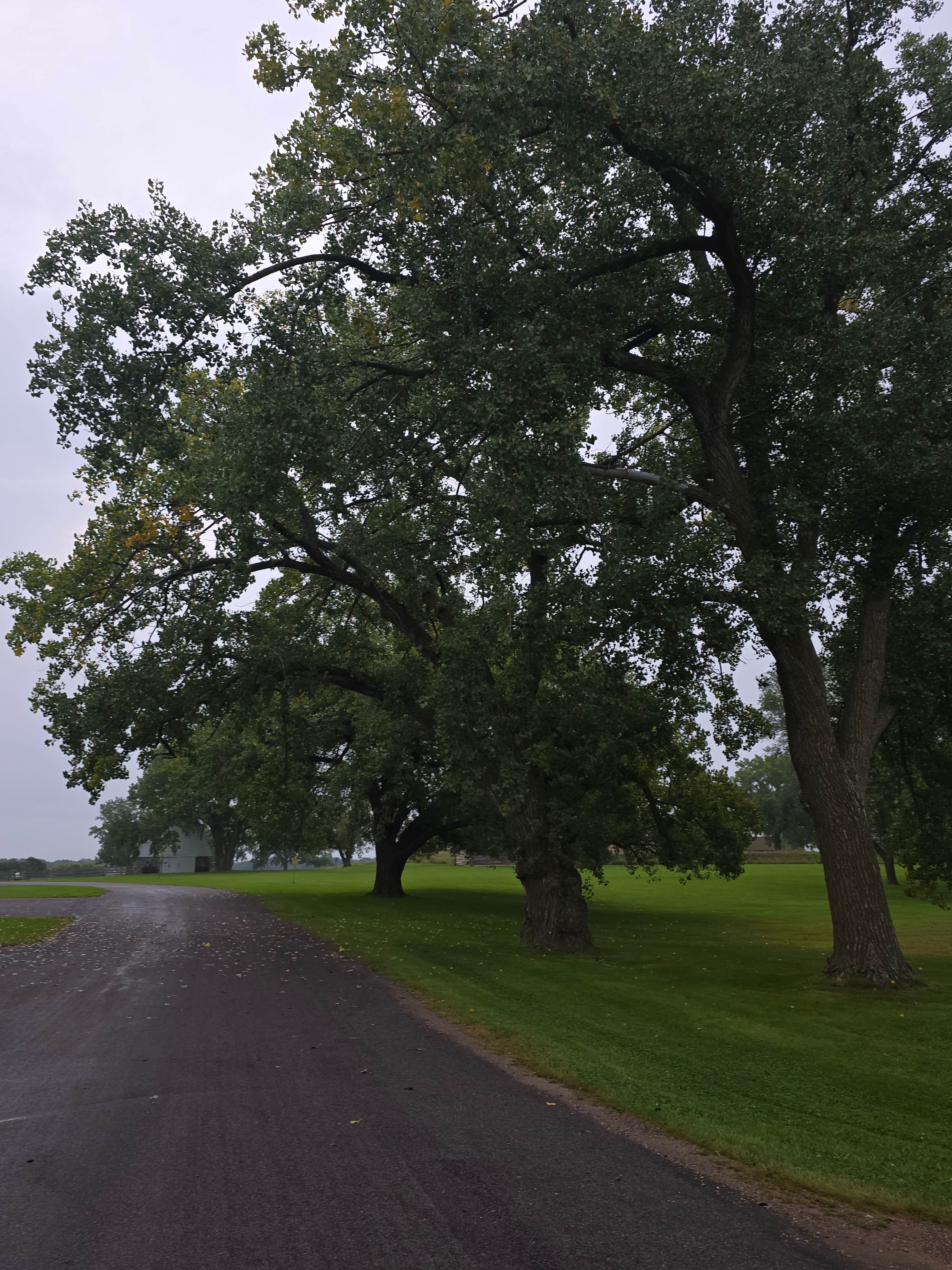 Camper submitted image from Fort Sisseton State Park Campground - 2