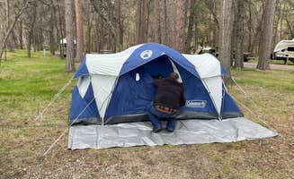 Jenny's photo at Grace Coolidge Campground — Custer State Park near Fairburn, SD