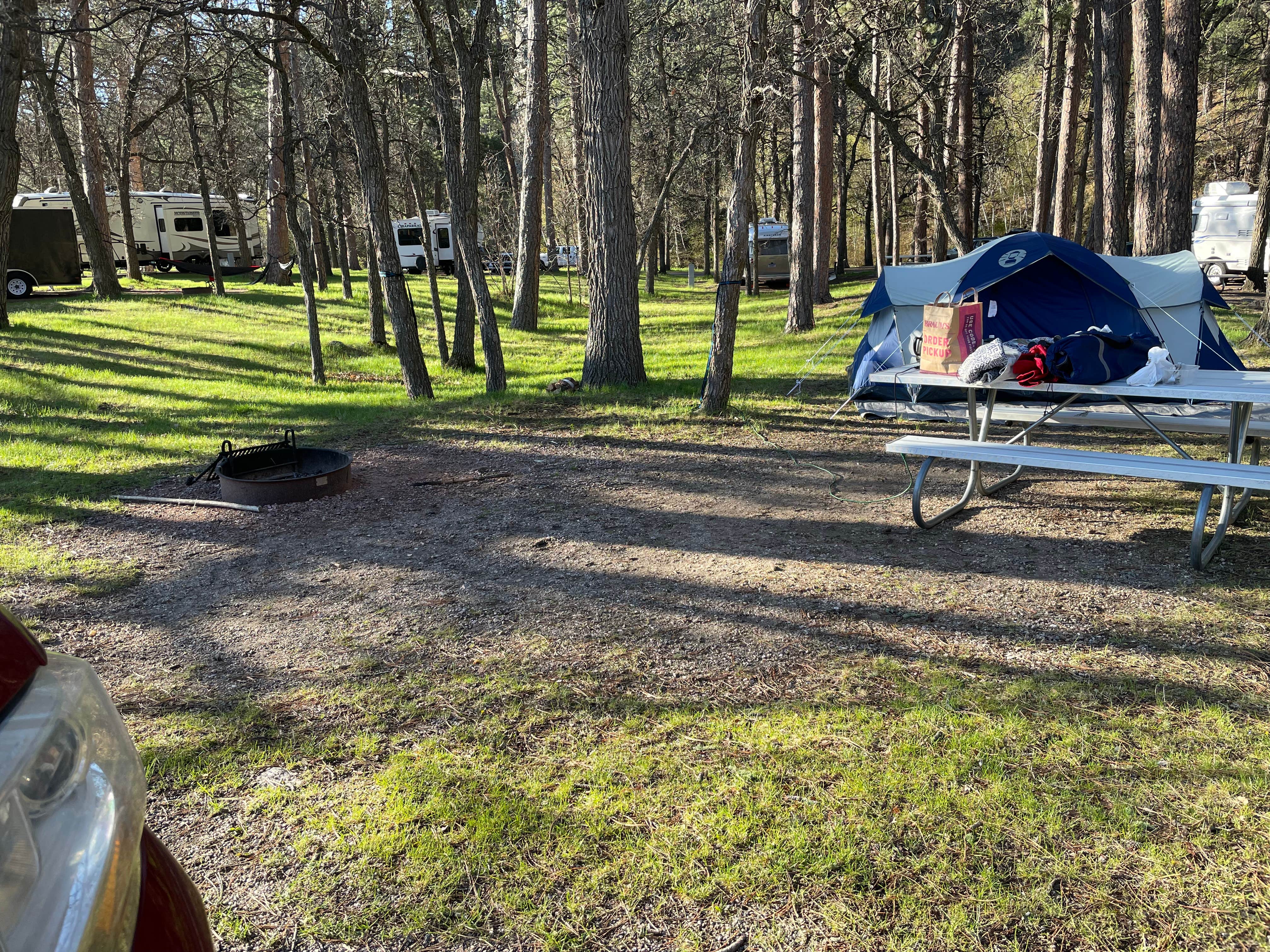 Camper-submitted photo at Grace Coolidge Campground — Custer State Park near Hermosa, SD