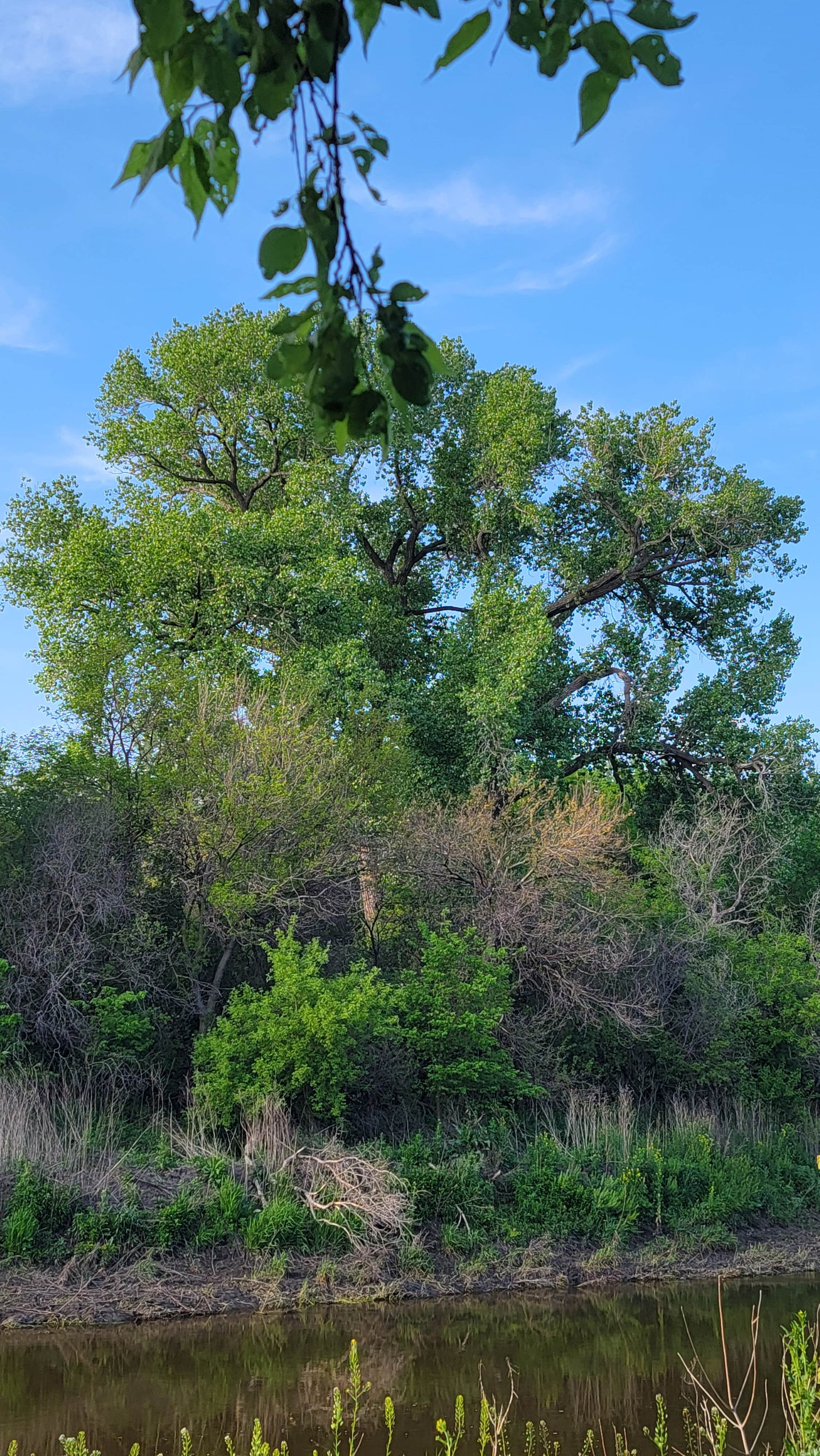 Camper submitted image from Gunderson Park - 2