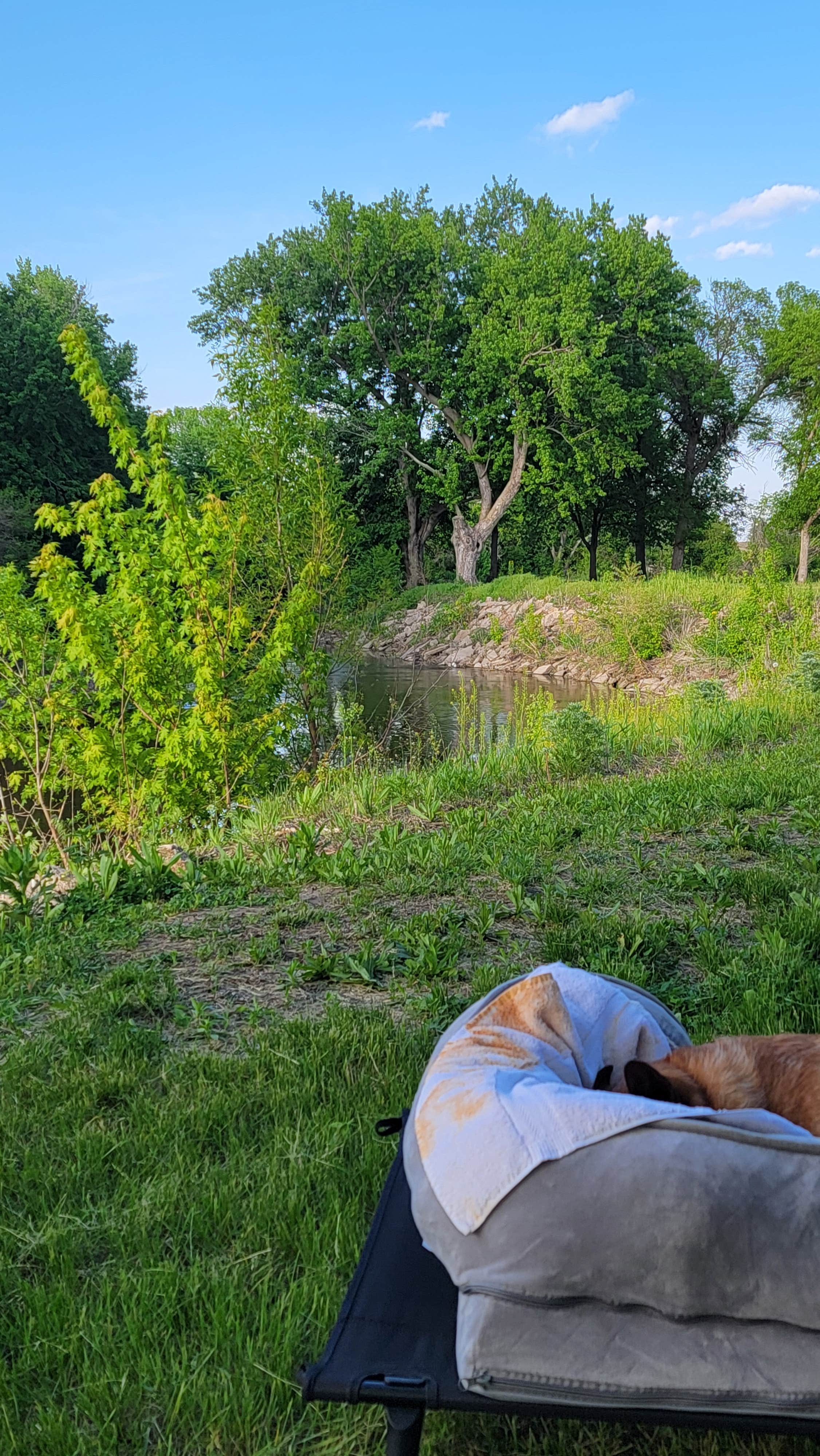 Bibs O.'s photo of camping with pets at Gunderson Park near Beresford, SD
