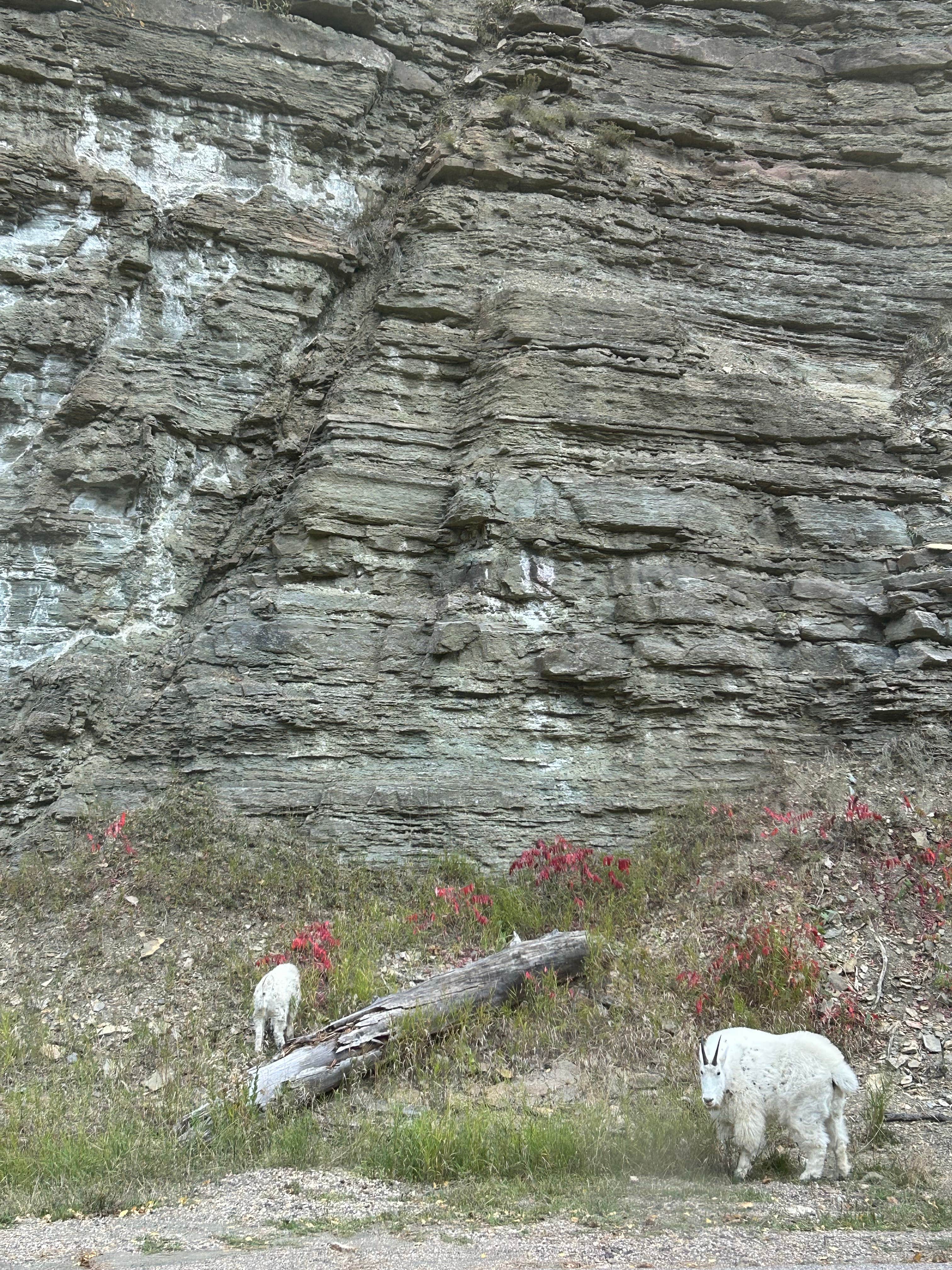 Camper-submitted photo at Hanna Campground near Lead, SD