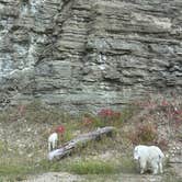 Review photo of Hanna Campground by Shirlee A., October 1, 2025