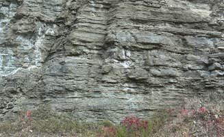 Shirlee A.'s photo of camping with pets at Hanna Campground near Devils Tower National Monument