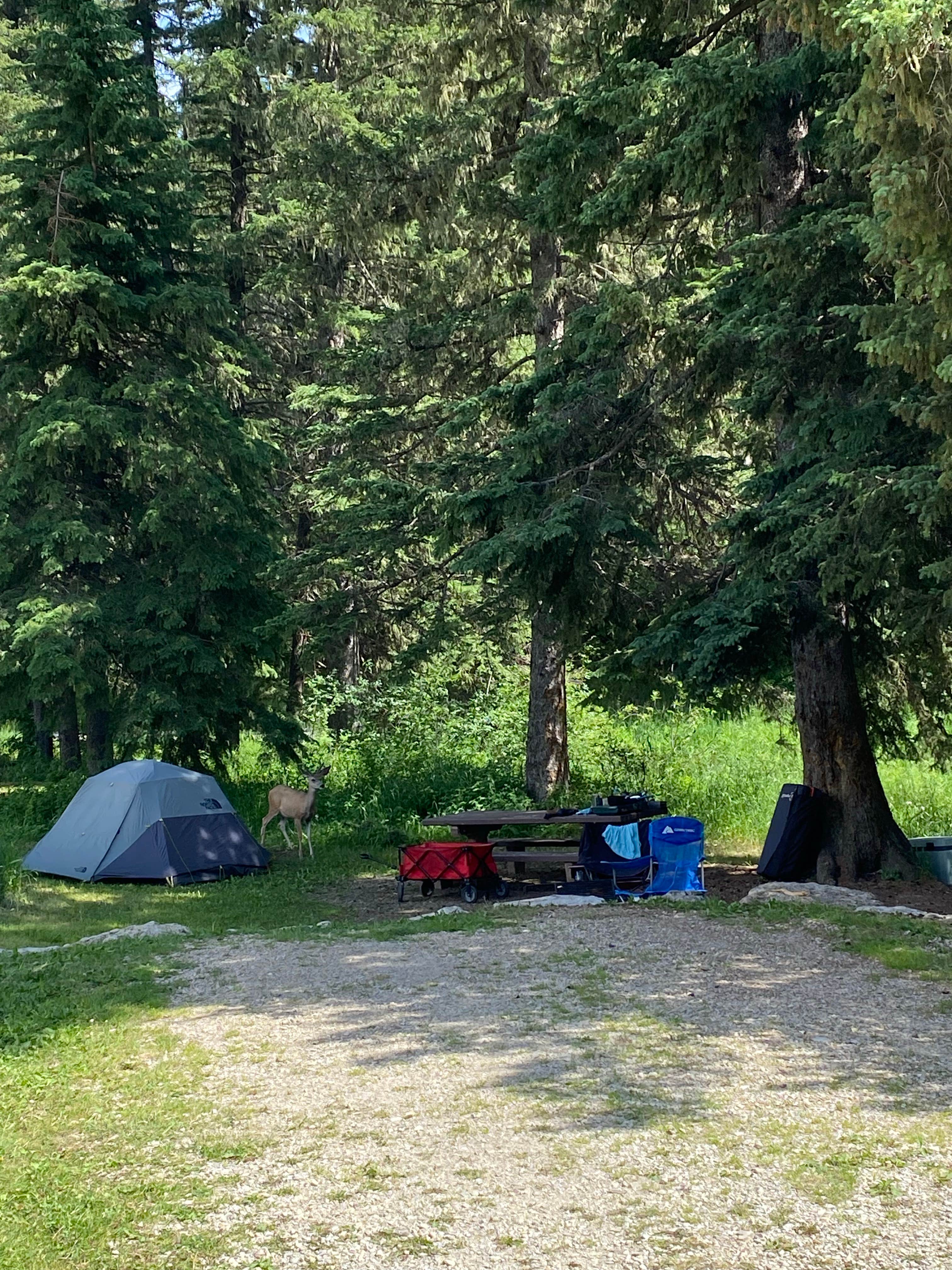 Camper submitted image from Hanna Campground - 1