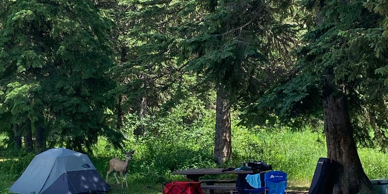 Camper submitted image from Hanna Campground