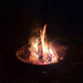 Review photo of Lake Mitchell Campground by Stephen G., June 19, 2025