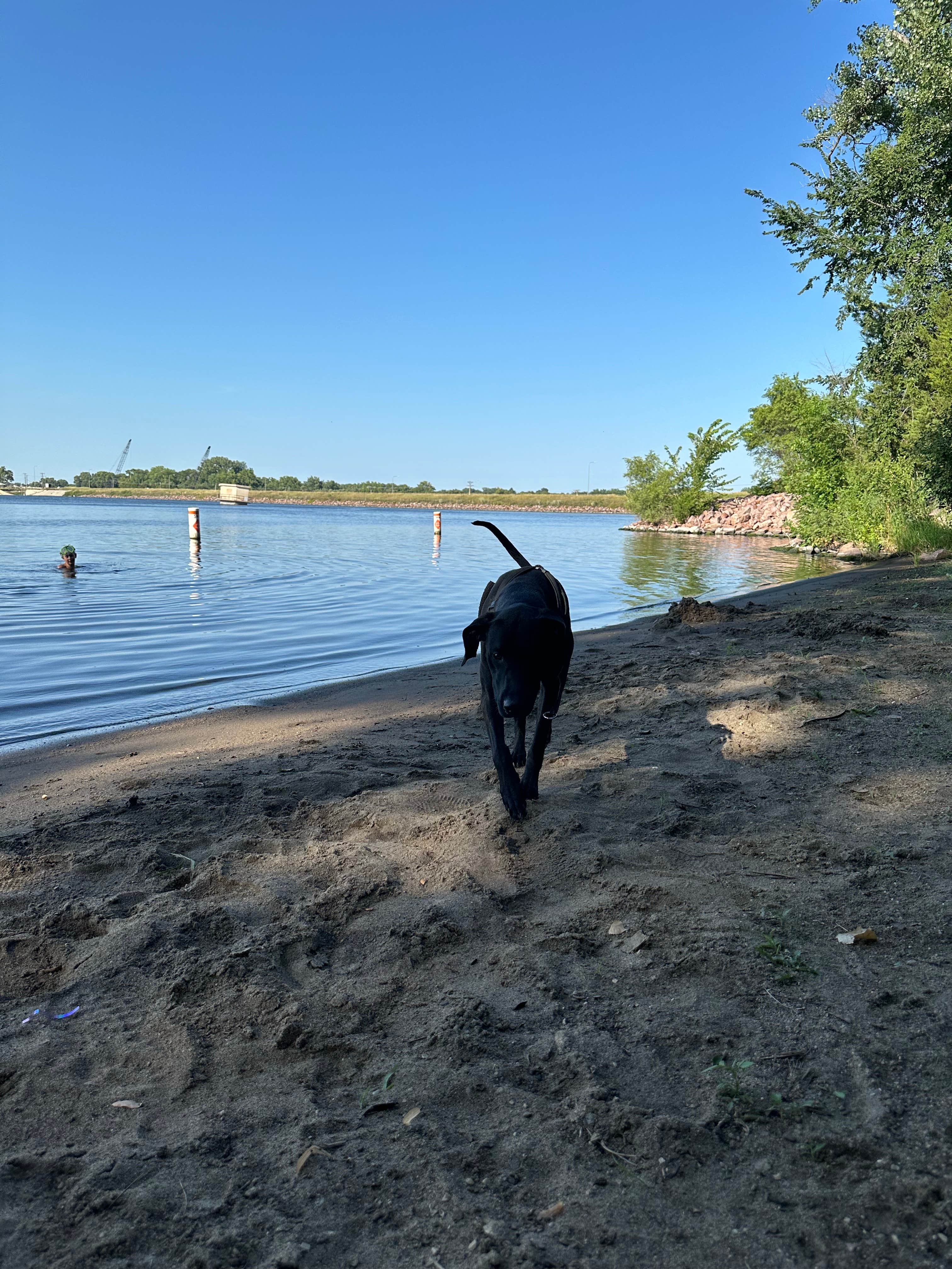 Molly M.'s photo of camping with pets at Lake Mitchell Campground near Mitchell, SD