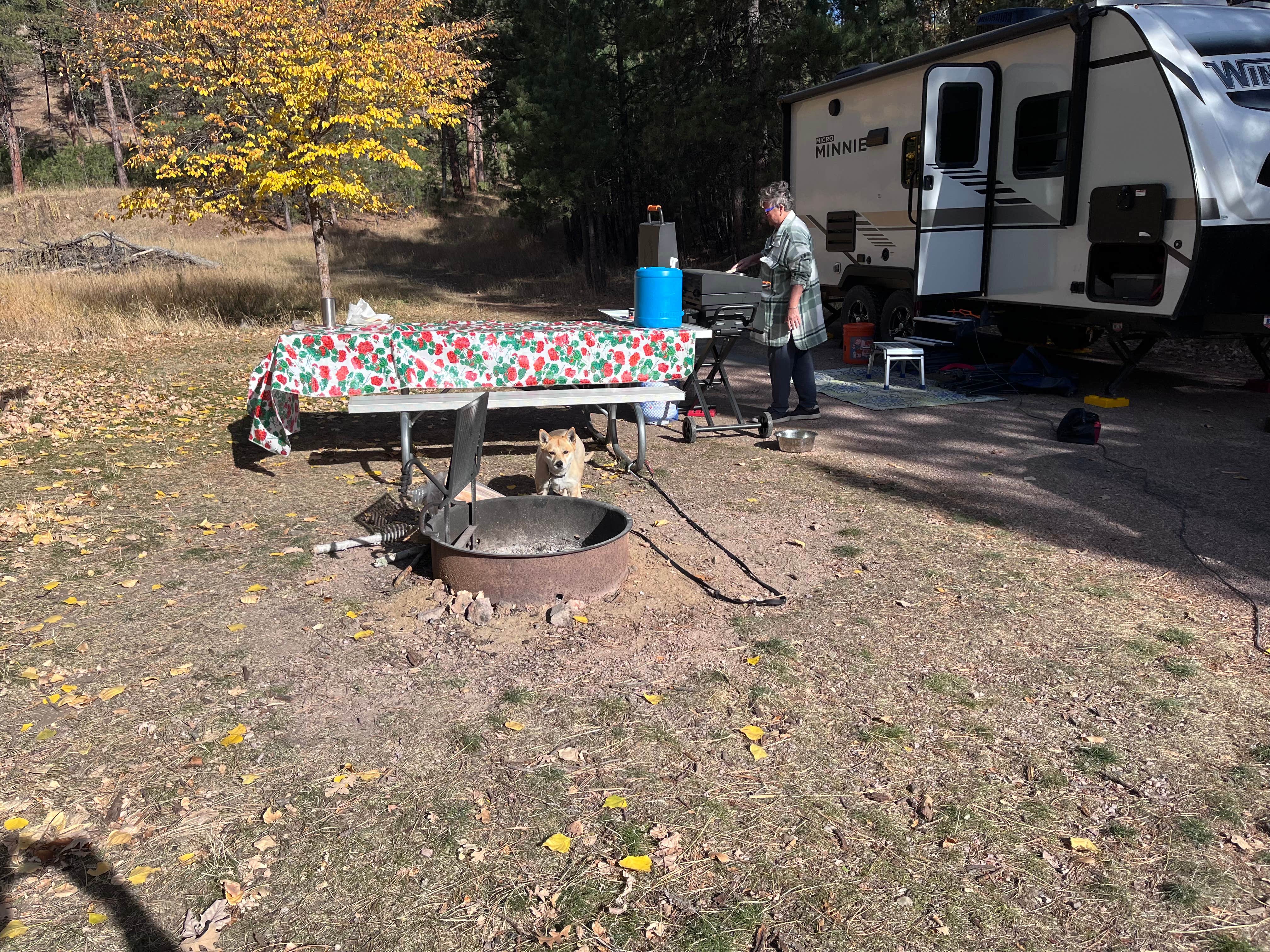 patty W.'s photo of camping with pets at Legion Lake Campground — Custer State Park near Wind Cave National Park