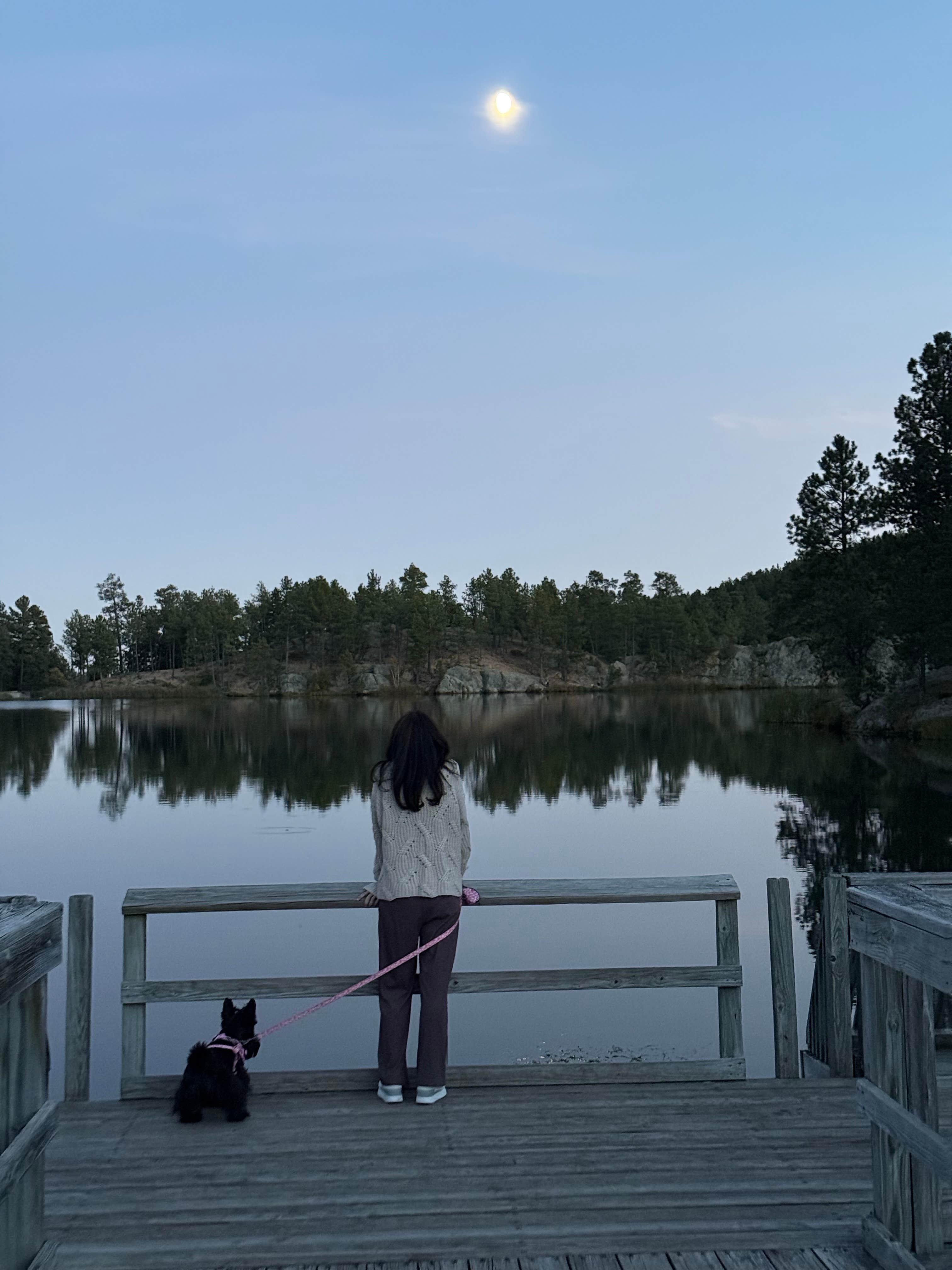 Chris A.'s photo of camping with pets at Legion Lake Campground — Custer State Park near Hermosa, SD