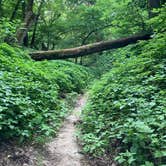 Review photo of Newton Hills Campground — Newton Hills State Park by seth B., June 22, 2026