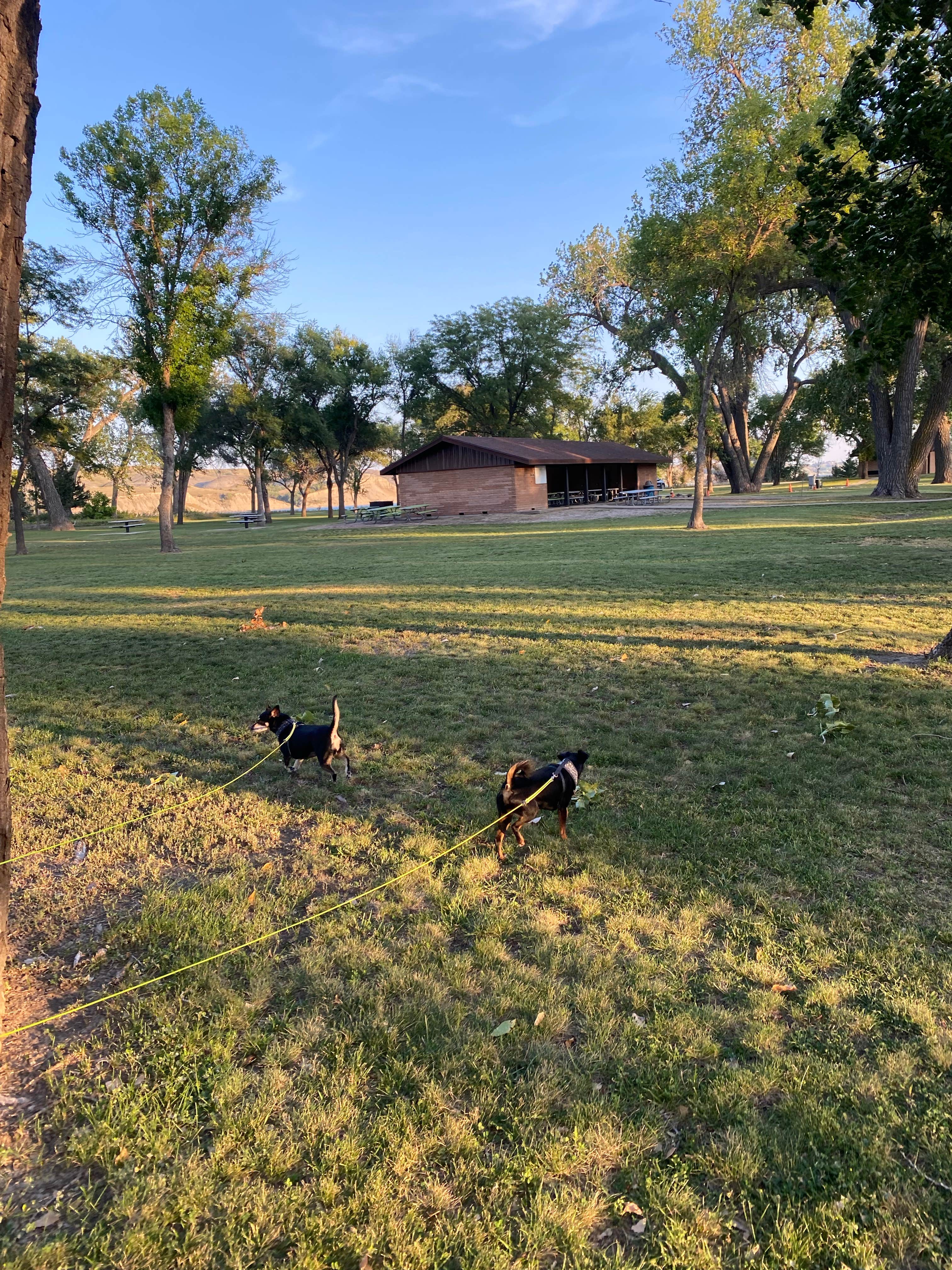 Shannon G.'s photo of camping with pets at Campground 3 — Oahe Downstream Recreation Area near Fort Pierre, SD
