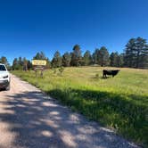 Review photo of Picnic Spring Campground by Andrew S., June 21, 2026