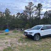 Review photo of Picnic Spring Campground by Andrew S., June 21, 2026