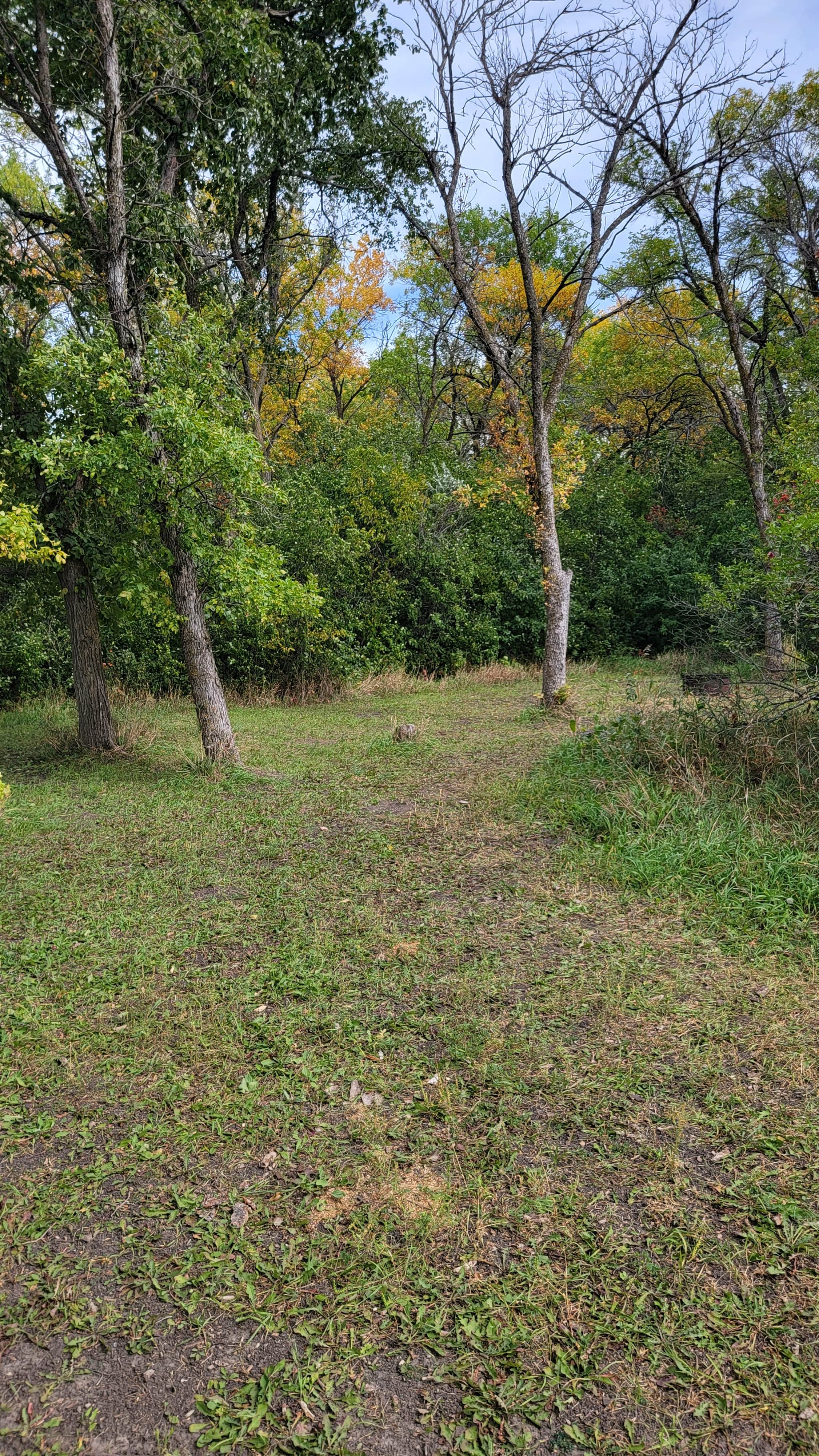 Bibs O.'s photo of camping with pets at Pierpont City Park near Aberdeen, SD