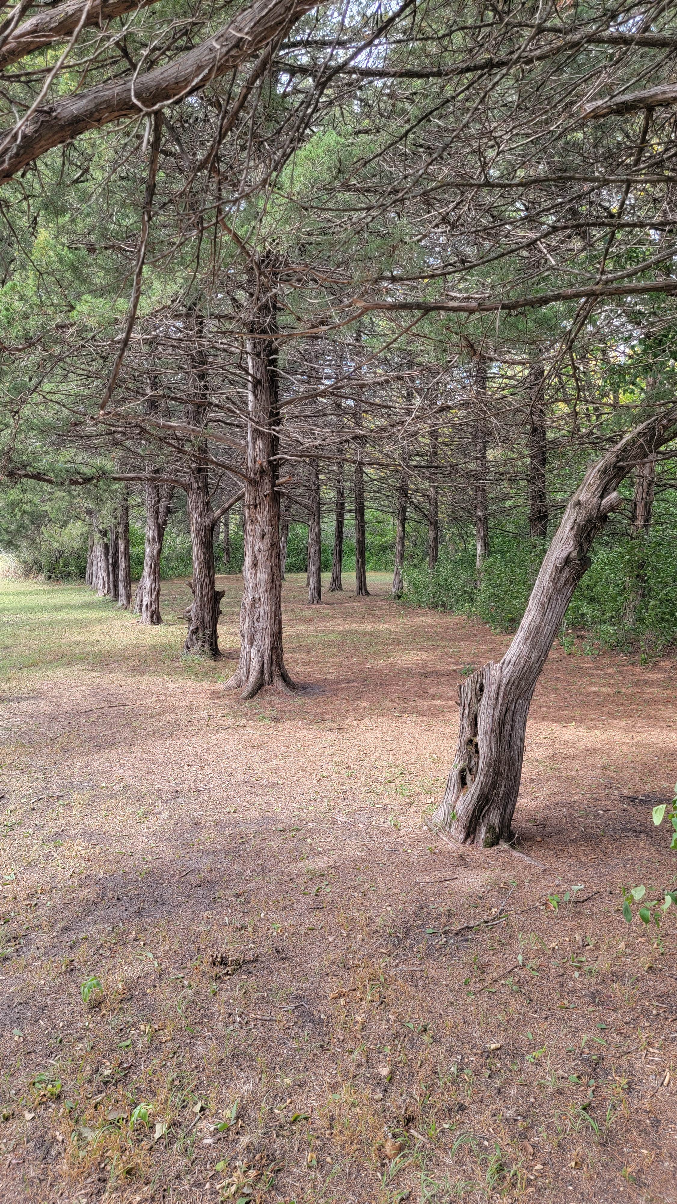 Camper-submitted photo at Pierpont City Park near Aberdeen, SD