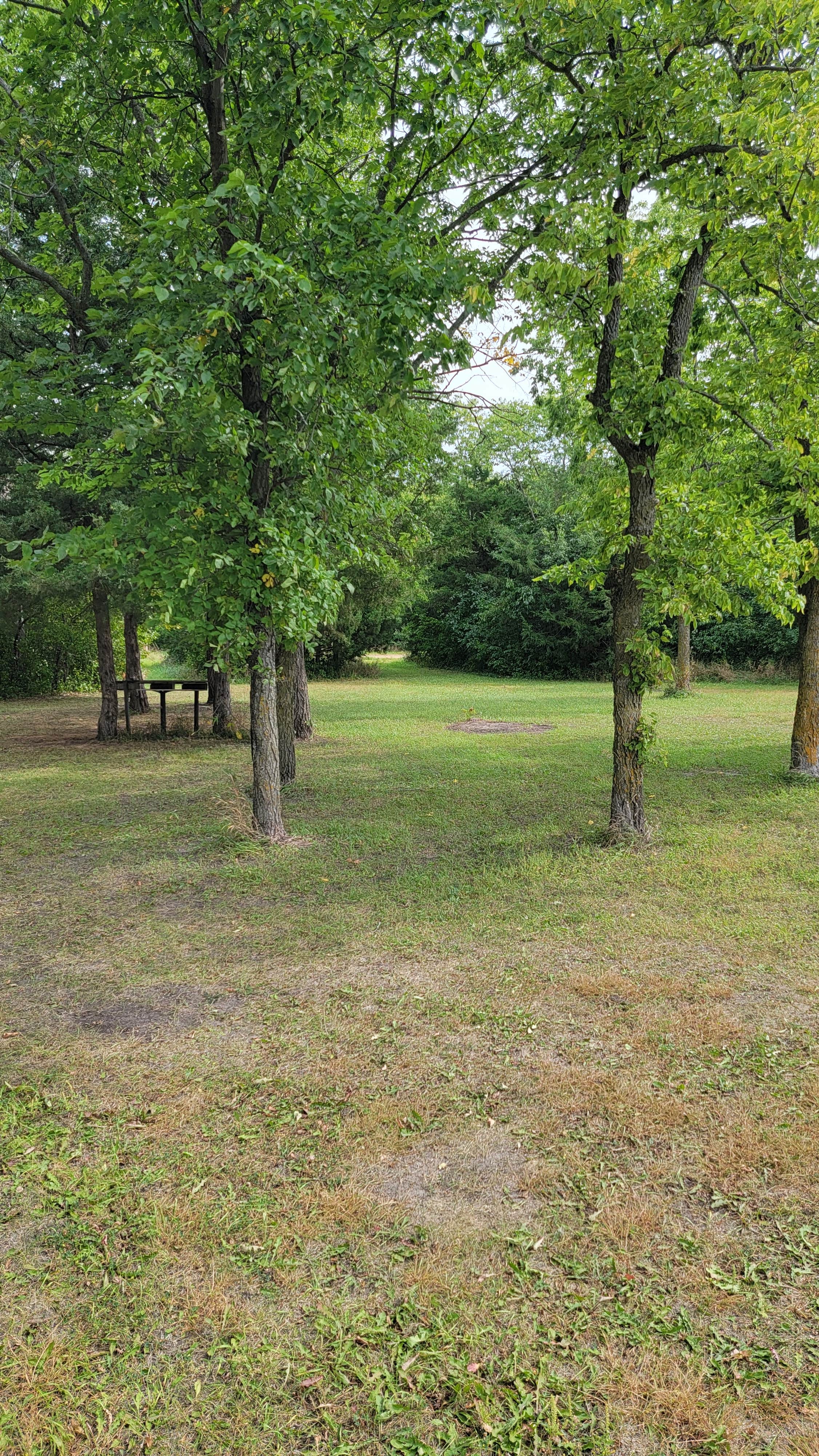 Camper-submitted photo at Pierpont City Park near Aberdeen, SD