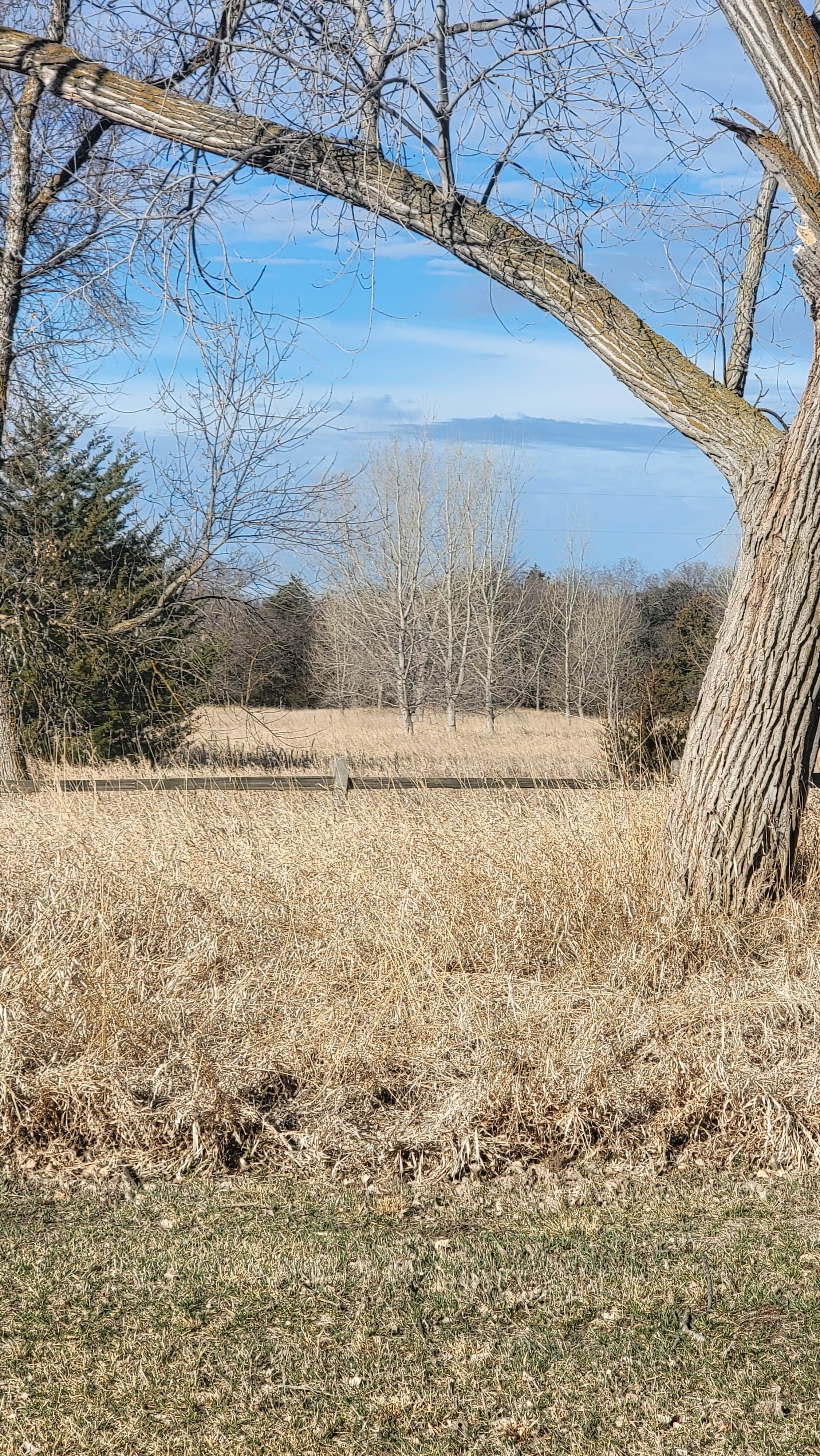 Camper-submitted photo at Randall Creek Recreation Area near Geddes, SD