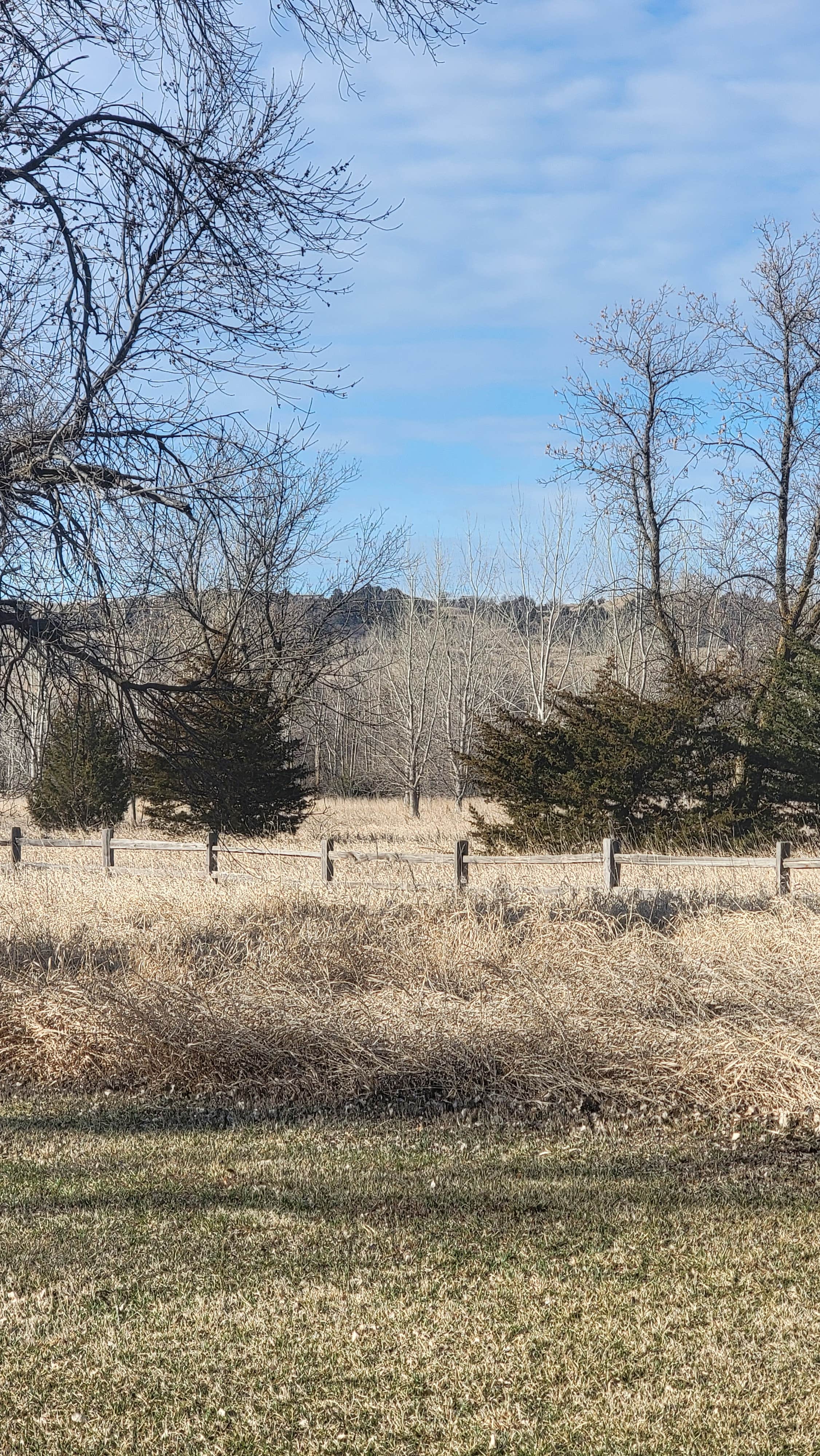 Camping near Lynch City RV Park: Randall Creek Recreation Area, Lake Andes, South Dakota