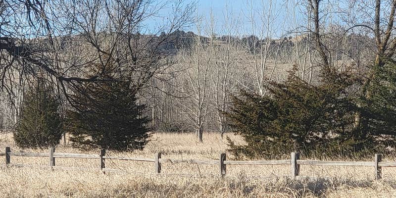 Camper submitted image from Randall Creek Recreation Area