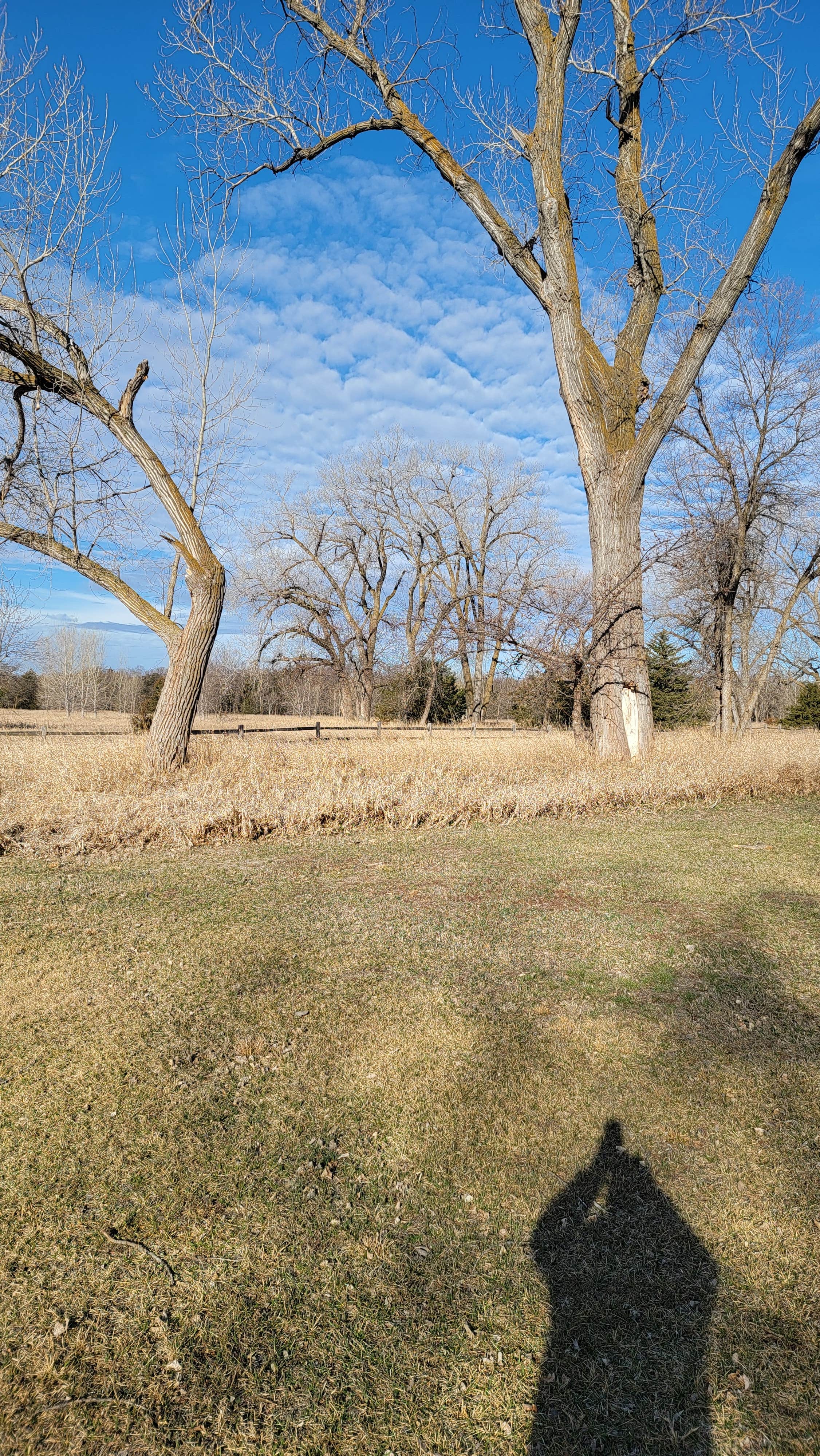 Camper-submitted photo at Randall Creek Recreation Area near Geddes, SD