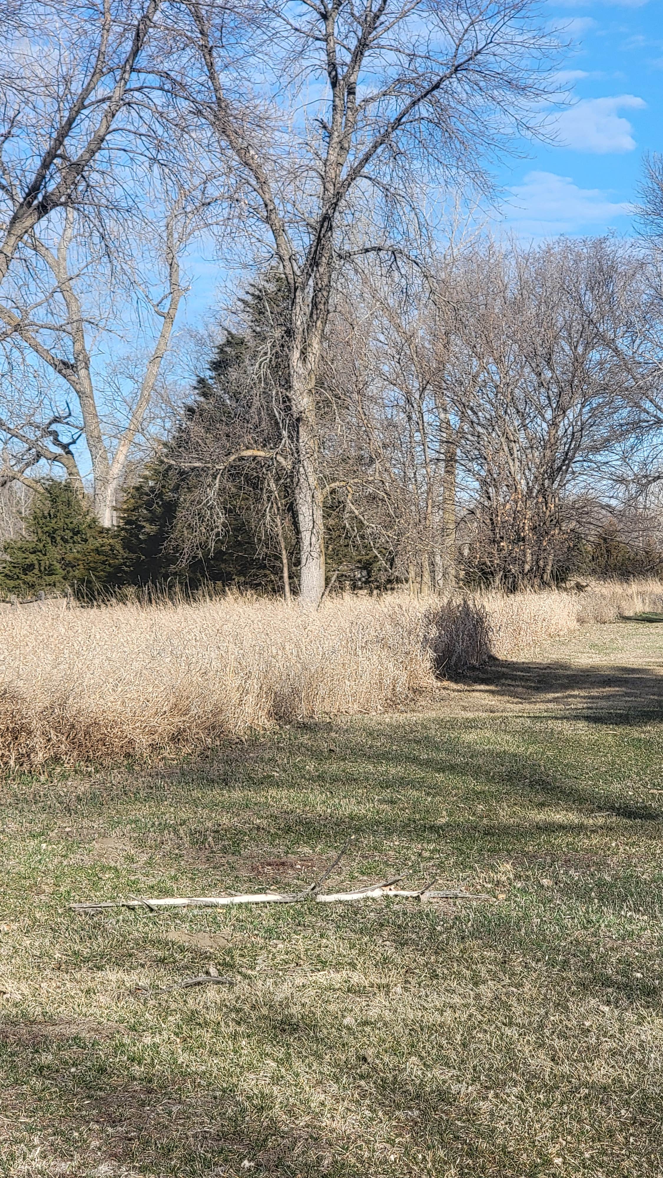 Camper-submitted photo at Randall Creek Recreation Area near Geddes, SD