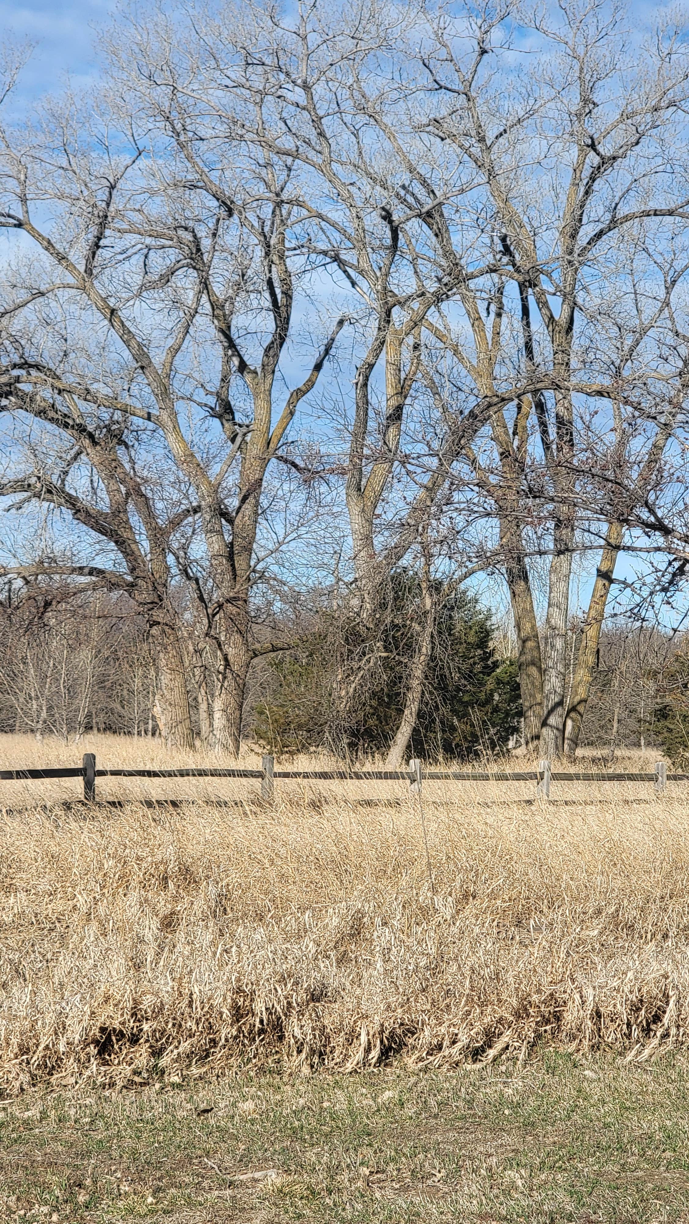Camper-submitted photo at Randall Creek Recreation Area near Geddes, SD