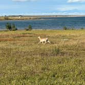 Review photo of Rocky Point Recreation Area by Tom D., September 2, 2025