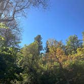 Review photo of Spearfish City Campground by Shirlee A., October 5, 2025
