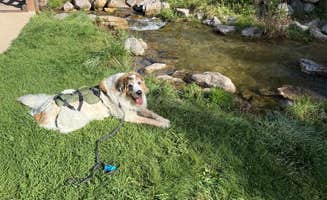Tom D.'s photo of camping with pets at Spearfish City Campground near Beulah, WY