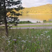 Review photo of Stockade North Campground — Custer State Park by Sabrina W., June 29, 2026