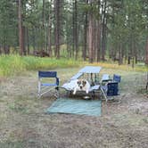 Review photo of Stockade North Campground — Custer State Park by Tom D., September 8, 2025