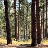 Review photo of Stockade Lake North Campground by Deb M., August 16, 2024