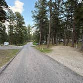 Review photo of Stockade North Campground — Custer State Park by Tom D., September 8, 2025