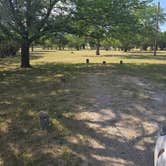 Review photo of White River City Park by Annemarie , July 18, 2026
