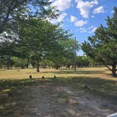 Review photo of White River City Park by Annemarie , July 18, 2026