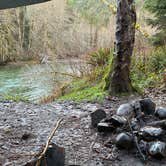 Review photo of South Fork Calawah River by Zaid B., December 26, 2025