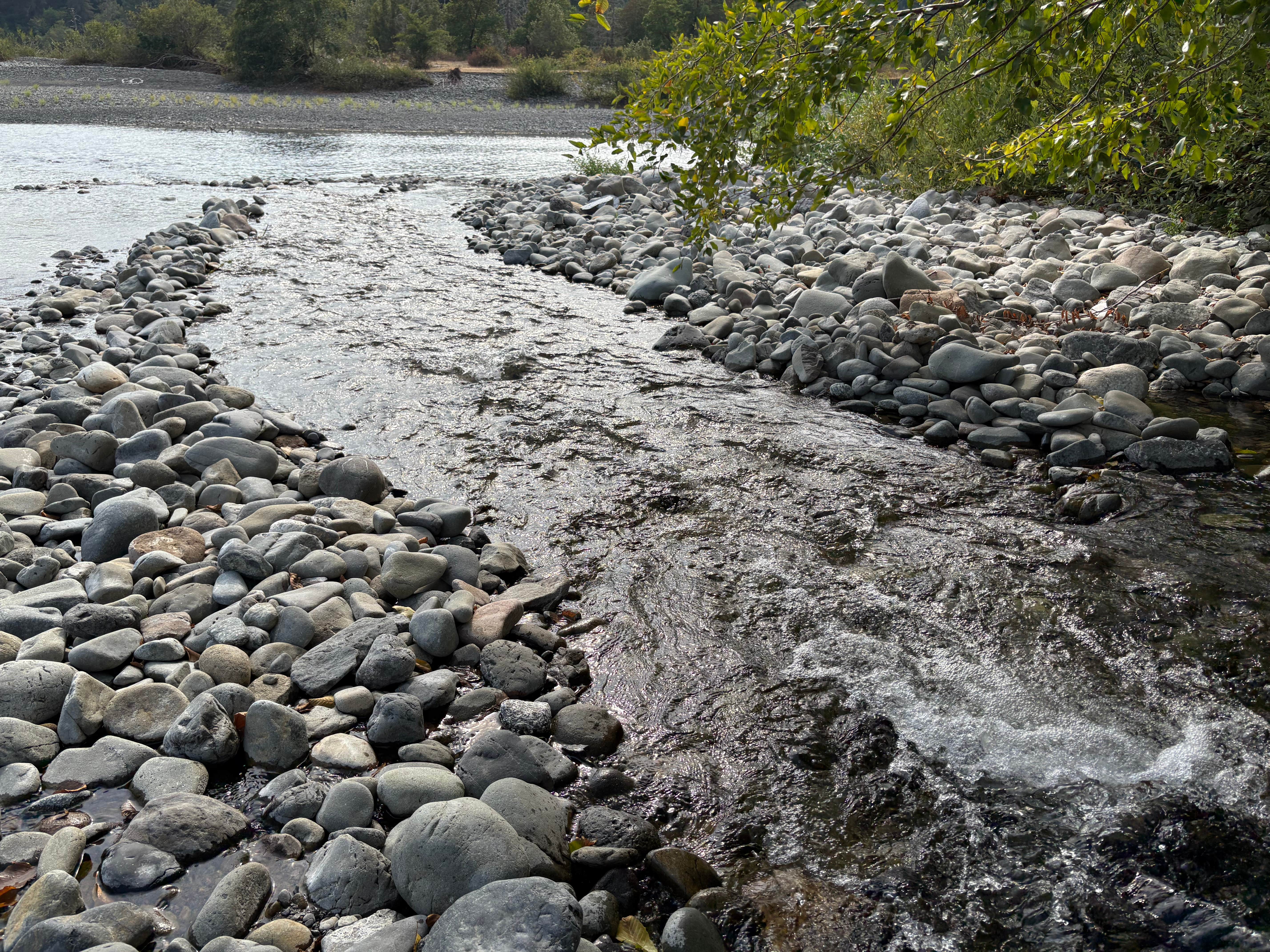 Camper-submitted photo at South Fork Chetco near Smith River, CA