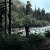 Review photo of South Fork Sauk River by Dan B., June 6, 2026
